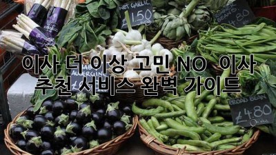 이사, 더 이상 고민 NO! 📦 이사 추천 서비스 완벽 가이드