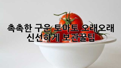 촉촉한 구운 토마토🍅 오래오래 신선하게! #보관꿀팁